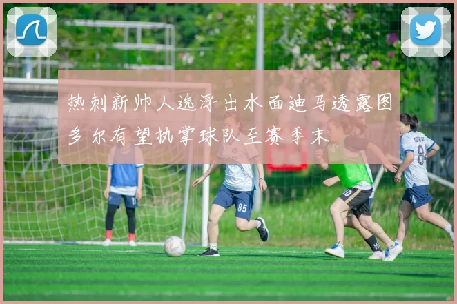 热刺新帅人选浮出水面迪马透露图多尔有望执掌球队至赛季末