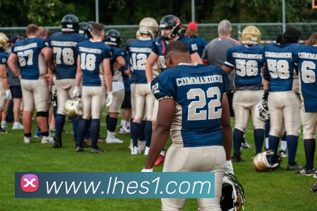 App Interface Preview