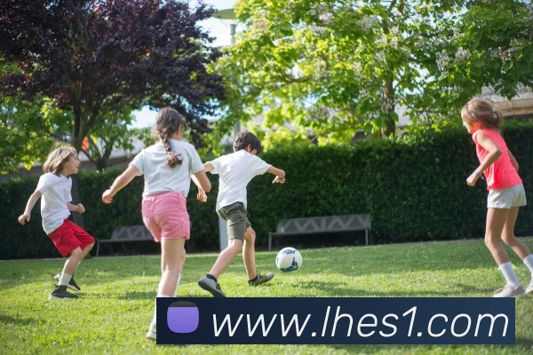 雷火电竞APP 封面图